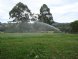 Irrigated Paddock